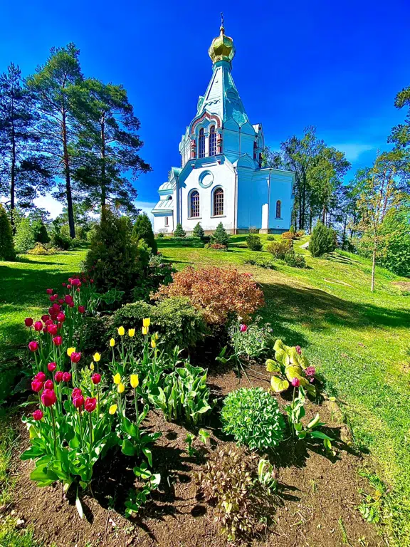 services image